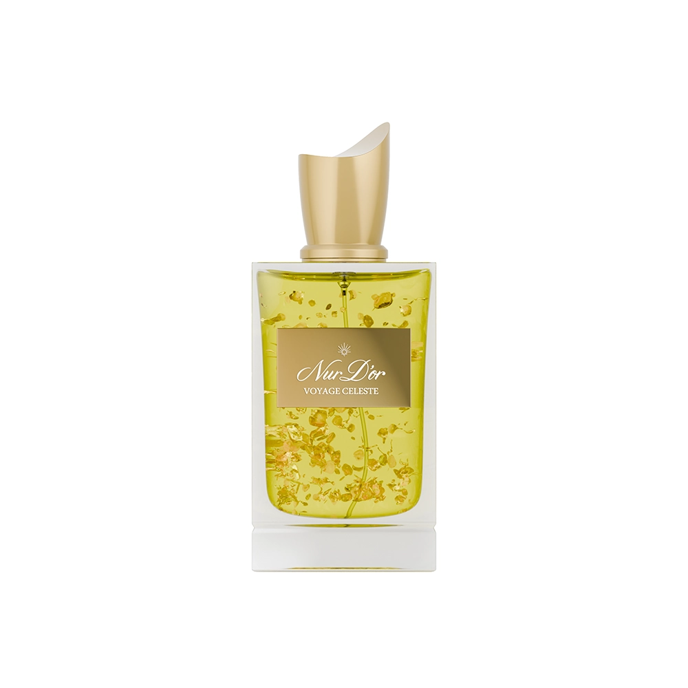 فويّاج سيلست